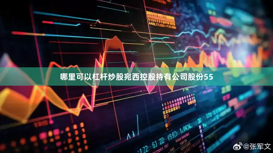 哪里可以杠杆炒股宛西控股持有公司股份55