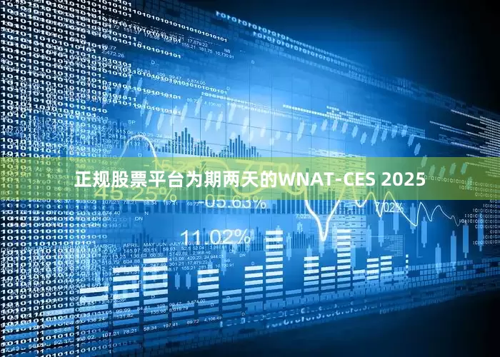 正规股票平台为期两天的WNAT-CES 2025