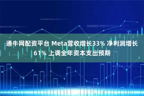 通牛网配资平台 Meta营收增长33% 净利润增长61% 上调全年资本支出预期