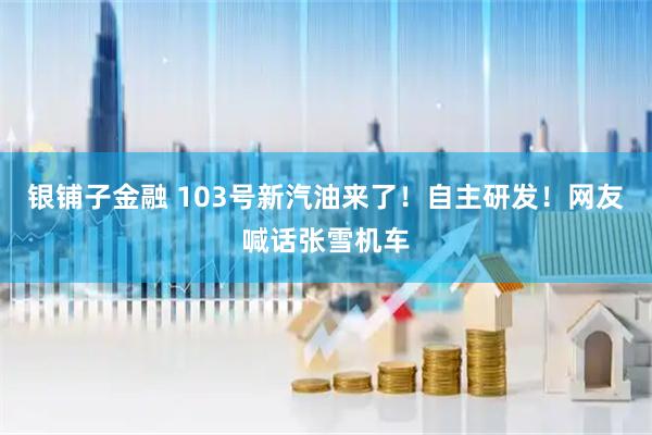 银铺子金融 103号新汽油来了！自主研发！网友喊话张雪机车