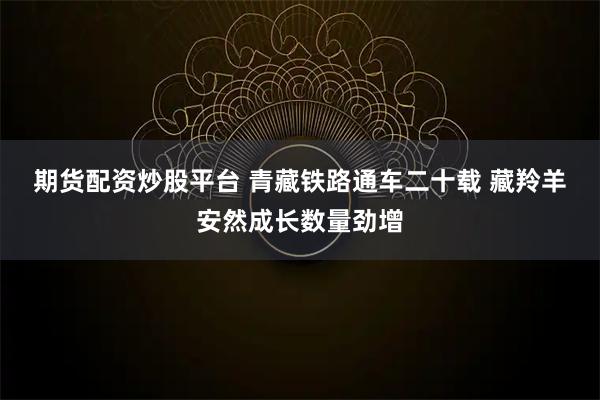 期货配资炒股平台 青藏铁路通车二十载 藏羚羊安然成长数量劲增