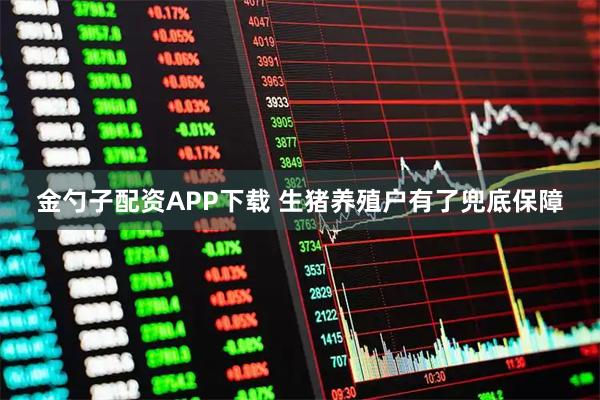 金勺子配资APP下载 生猪养殖户有了兜底保障