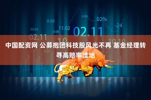 中国配资网 公募抱团科技股风光不再 基金经理转寻高赔率洼地